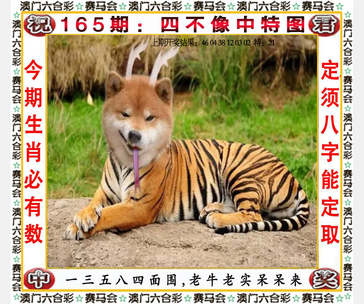 ����Ŵ�